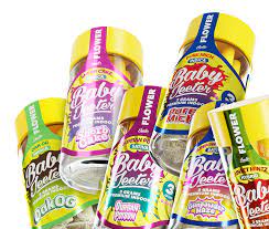 Gmo - .5g Non Infused Indoor Baby 6 Pack