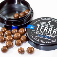 Blueberries - 100 Mg Terra Bites