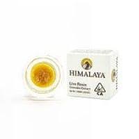 Royal Cherries - 1G Live Resin
