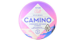 Wild Berry Chill - 100 Mg Camino Gummies