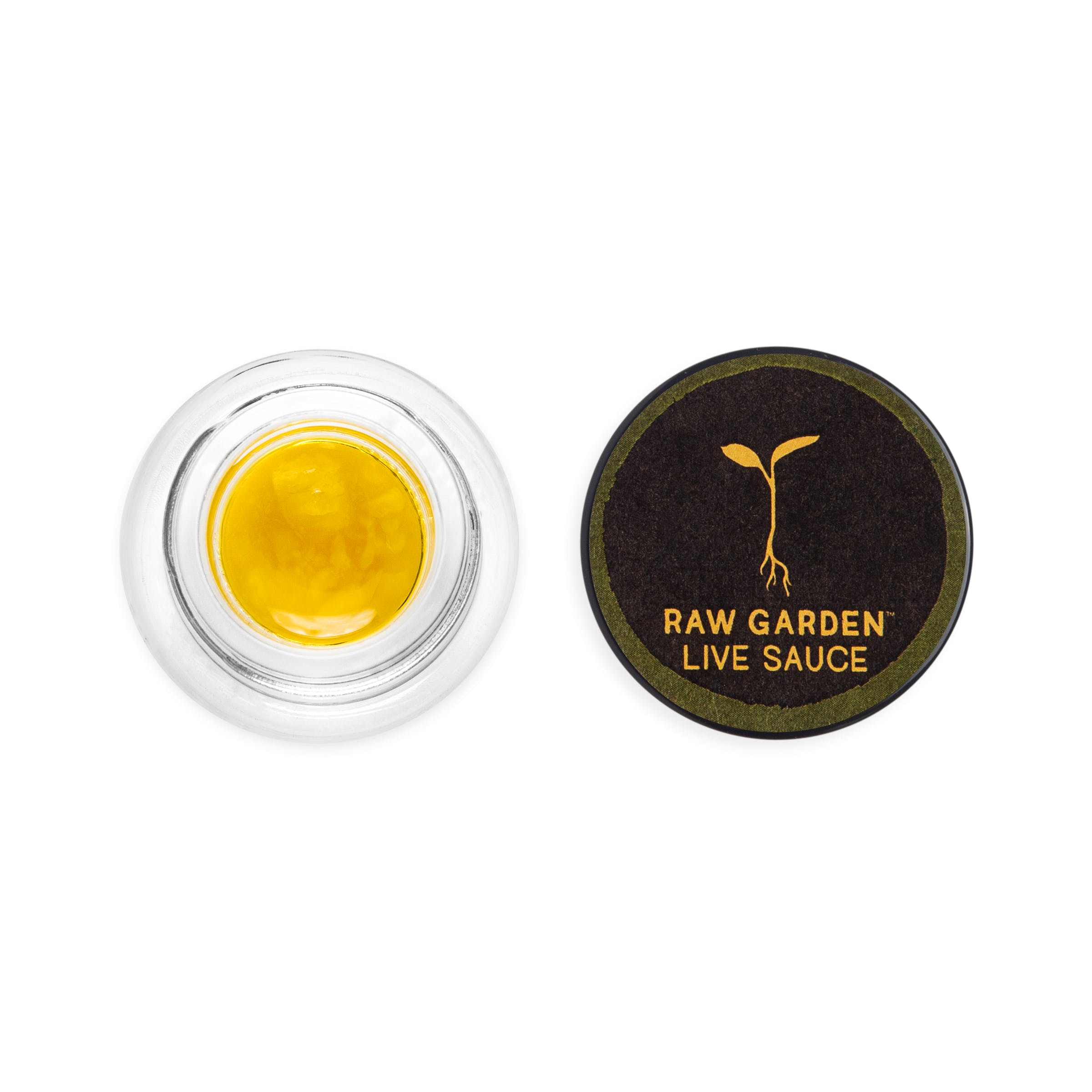 Apple Fritter  - 1G Live Sauce